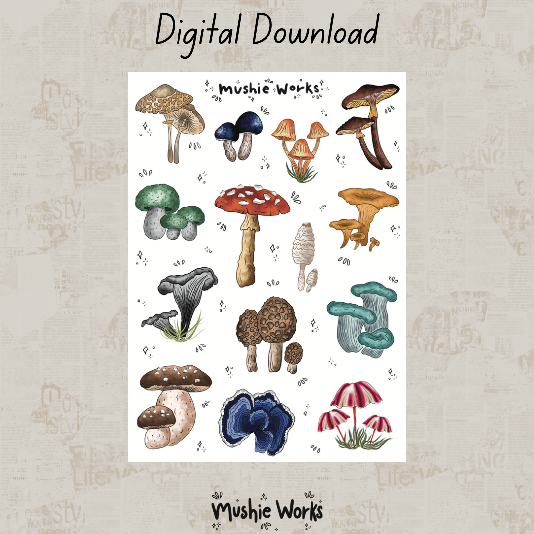 Mushie Land - Digital Download