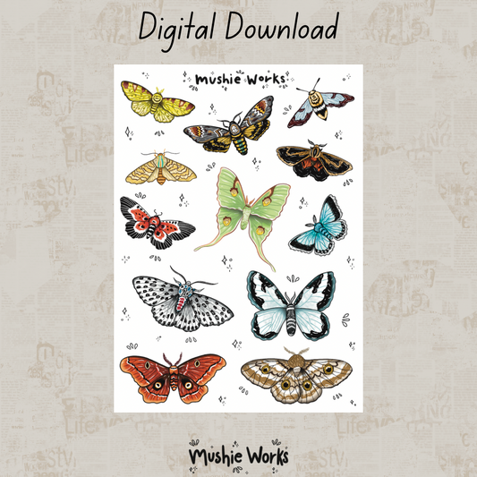 Majestic Moths - Digital Download